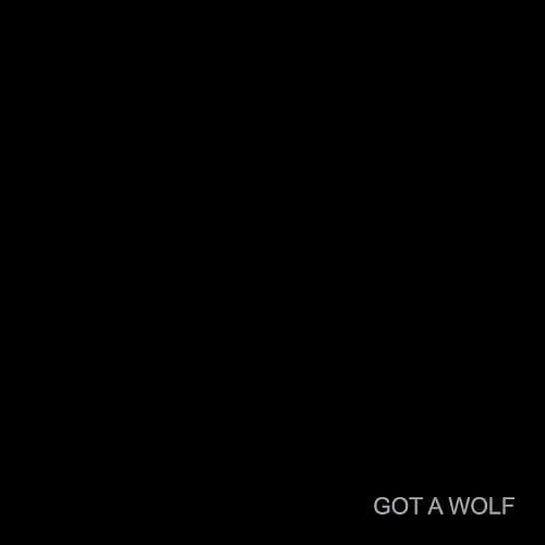 got a wolf