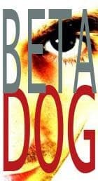 Beta Dog