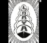 Larva