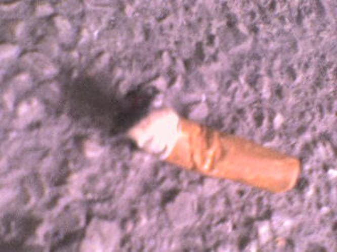 Špak