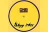DnB 2011