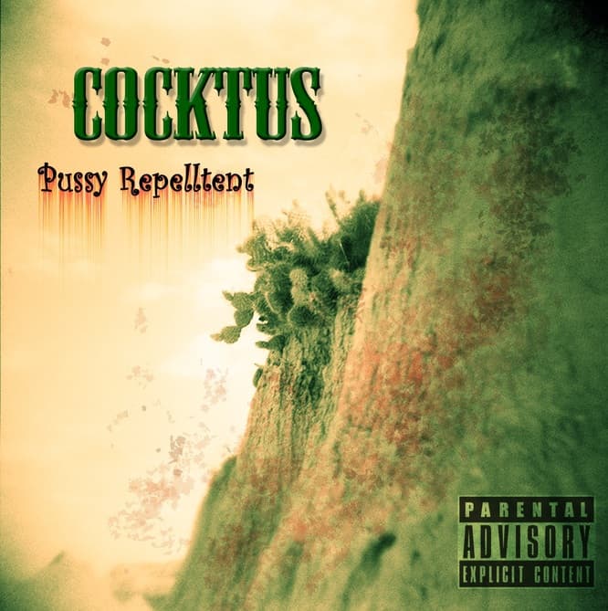 cocktus