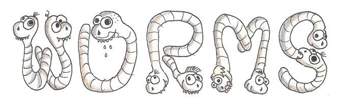 Worms