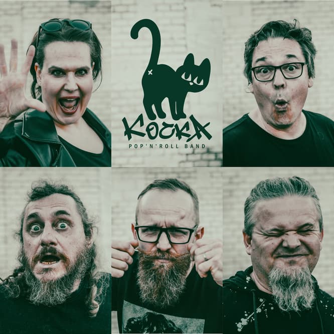Kočka