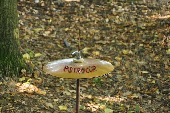 Pštrocůr
