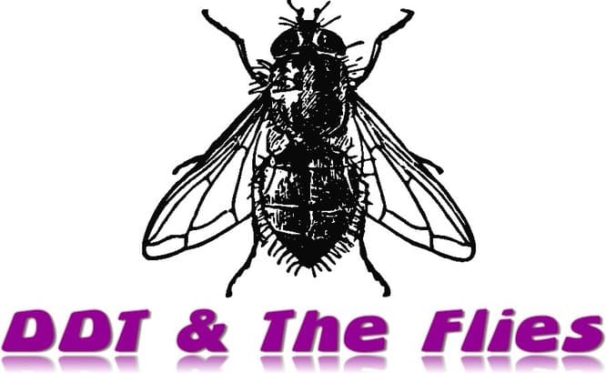 Ddt and The Flies