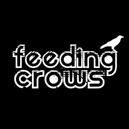 Feeding Crows