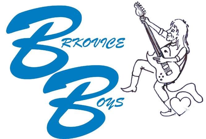 brkovice boys