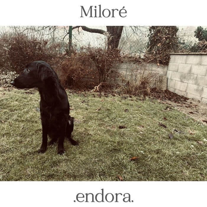 Obal alba .endora.