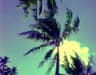 Andels