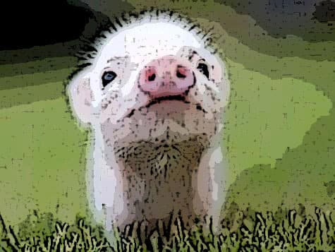 LaFuoc