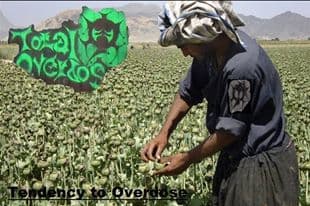 Total Overdose