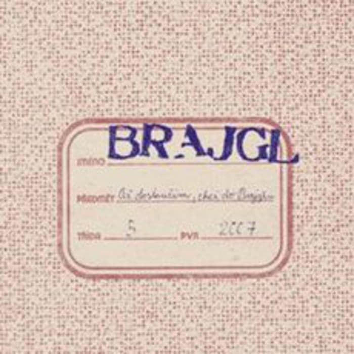 Obal alba Až dosloužím, chci do Brajglu