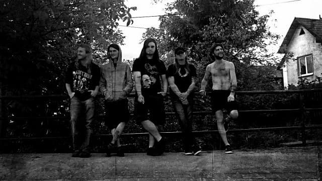 Breed