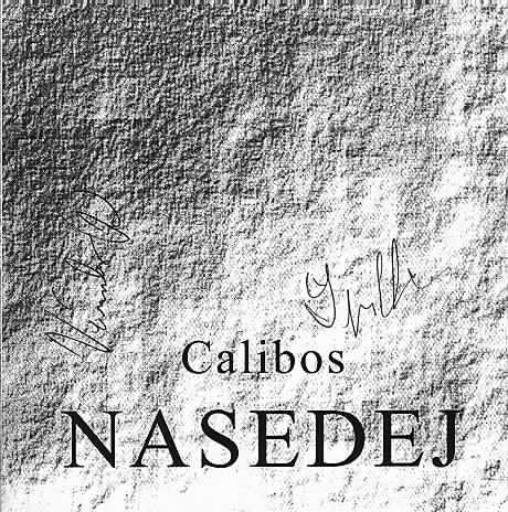 Obal alba NASEDEJ