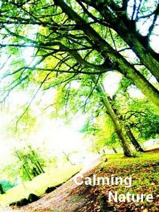 Calming Nature
