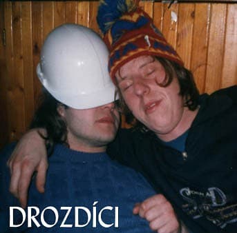 Drozdíci