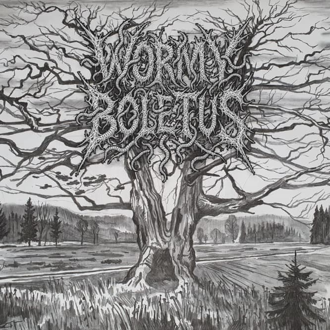 Wormy Boletus