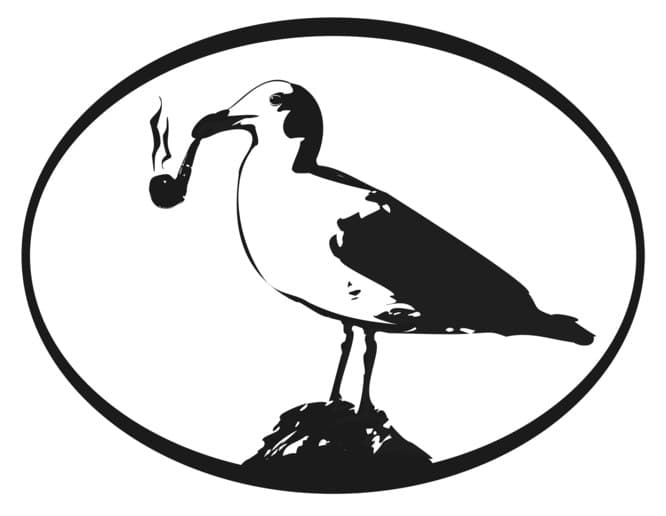 Gull with pipe