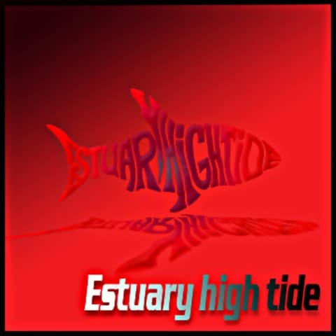 Estuary High Tide