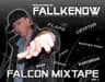 Fallkenow