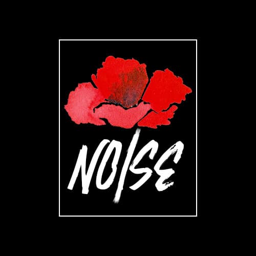 NOISE