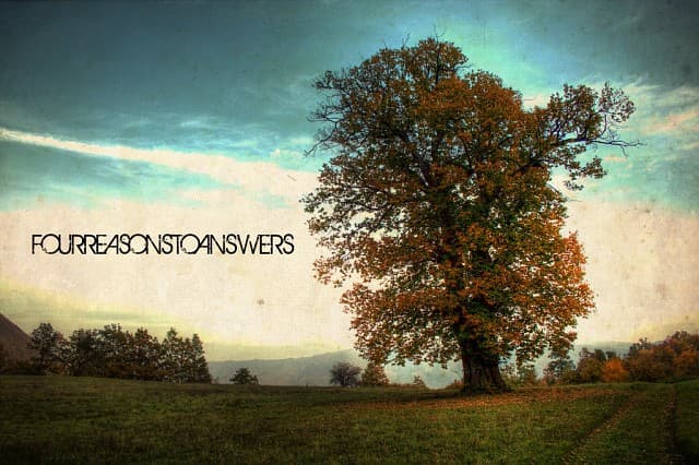 Fourreasonstoanswers