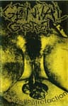 Genital Gore