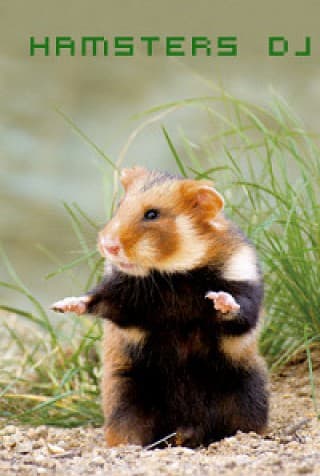 Hamsters DJs