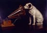 His Master's Voice Band