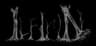 Ilfirinhorde