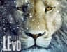 LEvo