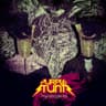 Stuntman-HYPNOTIC GAMES OUT NOW!