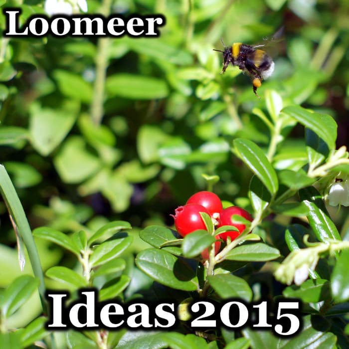 Obal alba Ideas 2015