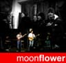 moonflower