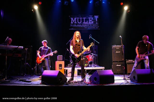 Mule!