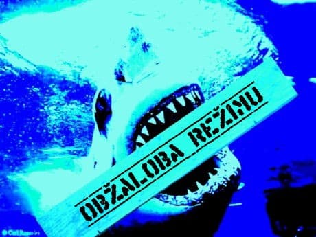 Obžaloba režimu