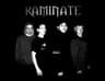 RAMINATE