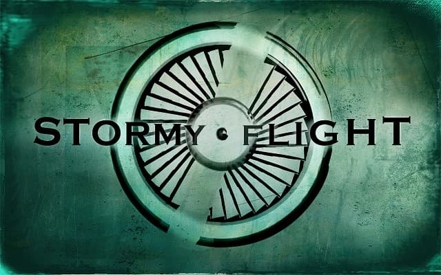 Stormy Flight
