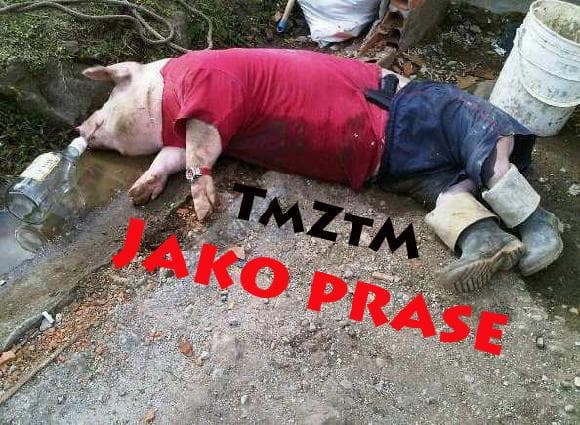 Obal alba Jako prase