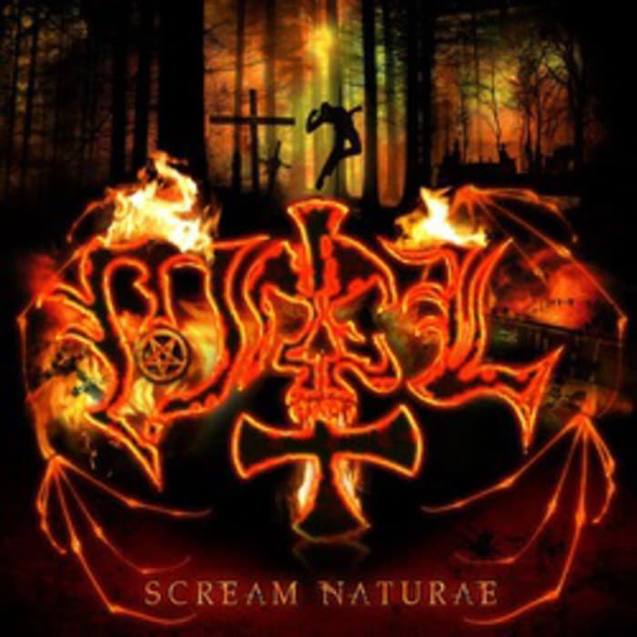 Obal alba SCREAM NATURAE