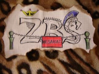 Ž.B.S.-žili bili schnili