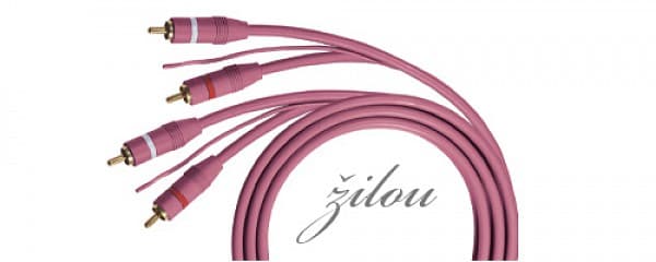 Žilou