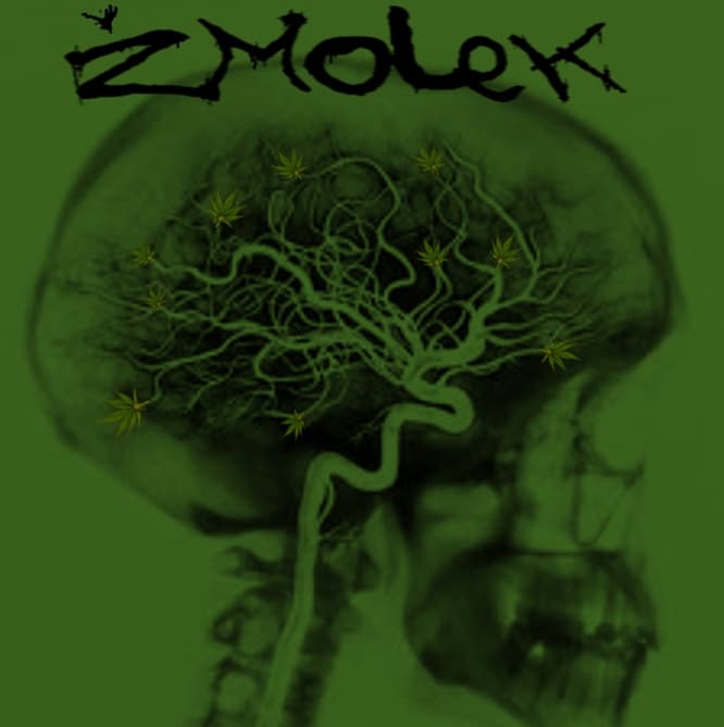 Žmolek