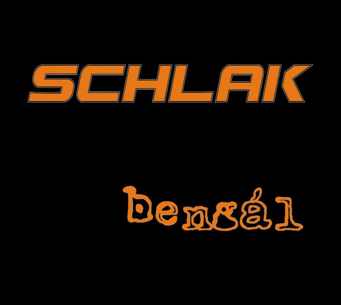 Schlak